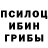Галлюциногенные грибы прущие грибы Lissa Masma