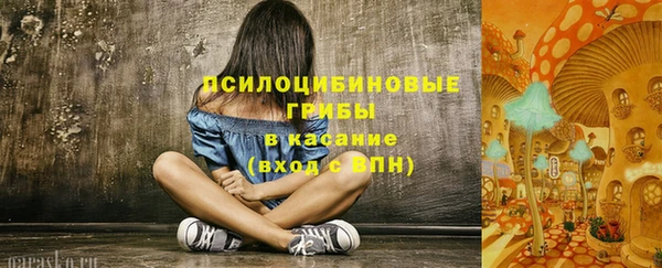 хмурый Майский