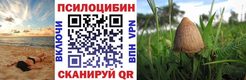 darknet какой сайт  Нерехта  Галлюциногенные грибы GOLDEN TEACHER 